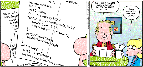 Java Website Design Comic